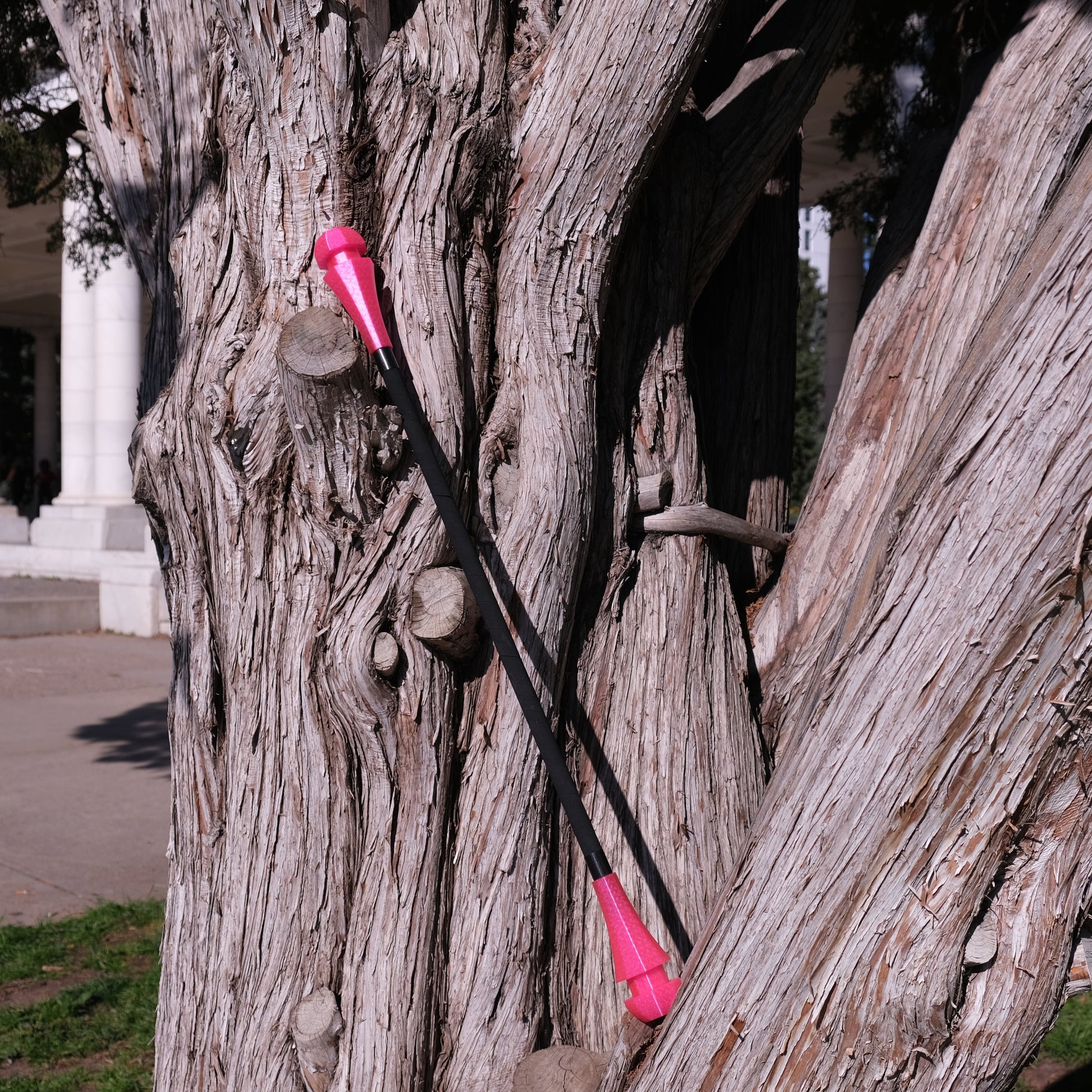 Gon Staff with Pink Gon Hubs sitting in a tree